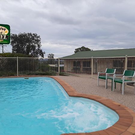 Country Rose Motel Warwick Bagian luar foto